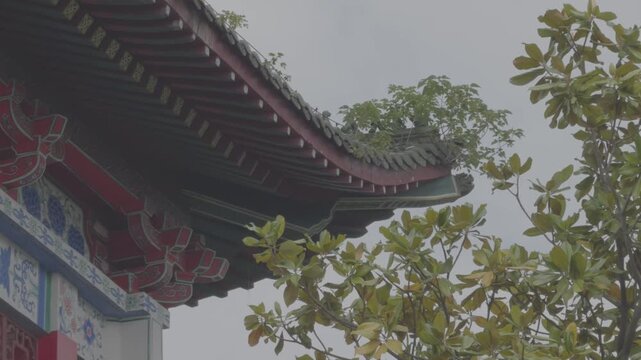 4K resolution zoom out cinematic shot of flying eaves and detailed dougong brackets of traditional Chinese architecture with wild plants growing on tiles at Tengwang Pavilion, shot in ProRes Log forma