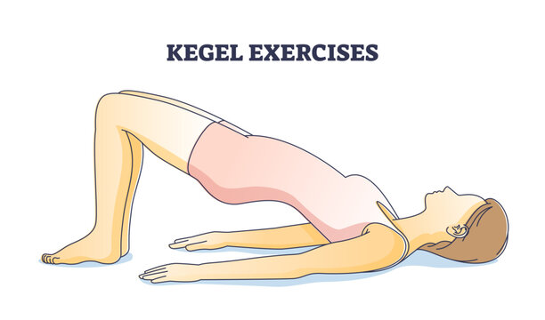 Kegel exercises for pelvic floor muscle stretch and strength outline concept, transparent background. Woman yoga and female gymnastic for muscular system wellness and healthy body illustration.