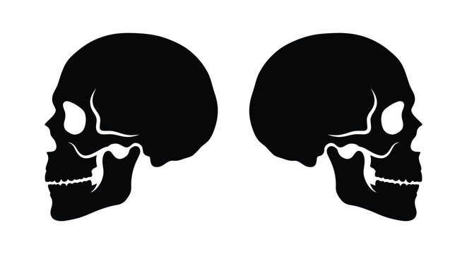 two human skull silhouettes on white background silhouette bones skeleton anatomy side view black vector graphic