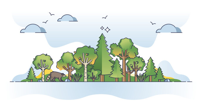Forest landscape with tree area and natural foliage growth outline concept, transparent background.