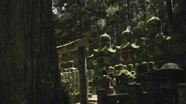 Moss-Covered Gorintō (Five-Ring Pagoda) at Okunoin, Koyasan &ndash; UNESCO World Heritage, Wakayama, Japan　世界遺産・高野山の奥之院「苔むした五輪塔」和歌山県高野町