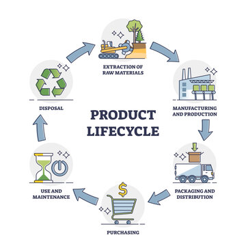 Product lifecycle management or PLM business process outline diagram, transparent background. Labeled educational scheme.