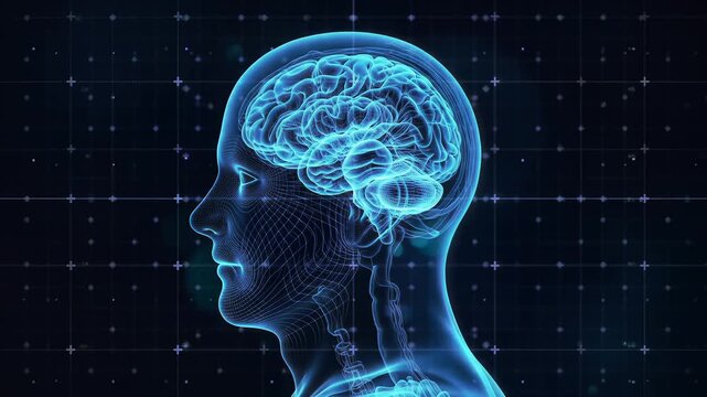 Cybernetic neural network and brain computer interface map