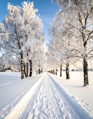 Obraz premium Snowy road with frosted trees landscape.