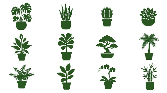 plant in pot silhouette  cactus in pot silhouette  succulent rosette in pot silhouette  peace lily in pot silhouette  fiddle leaf fig in pot silhouette  bonsai in pot silhouette  palm in pot 