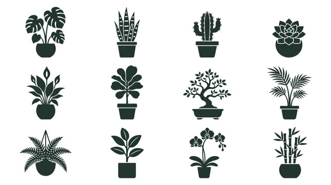 plant in pot silhouette  cactus in pot silhouette  succulent rosette in pot silhouette  peace lily in pot silhouette  fiddle leaf fig in pot silhouette  bonsai in pot silhouette  palm in pot 