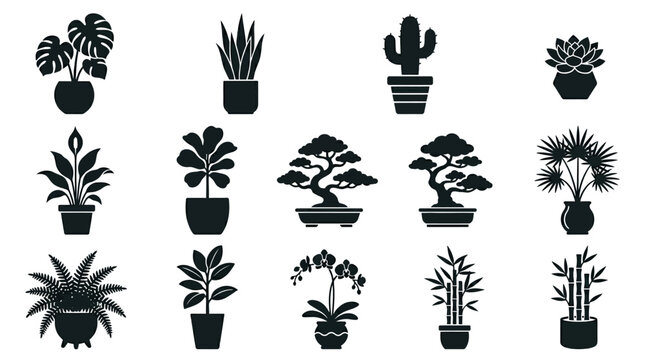 plant in pot silhouette  cactus in pot silhouette  succulent rosette in pot silhouette  peace lily in pot silhouette  fiddle leaf fig in pot silhouette  bonsai in pot silhouette  palm in pot 