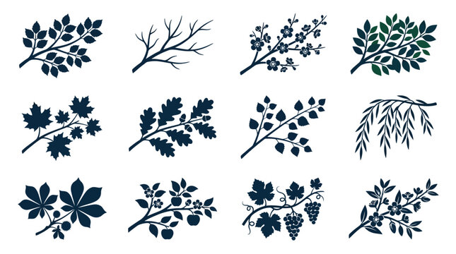 branches  autumn leaf branch silhouette  bare winter branch silhouette  spring blossom branch silhouette  summer leafy branch silhouette  maple branch silhouette  oak branch silhouette  birch branch 