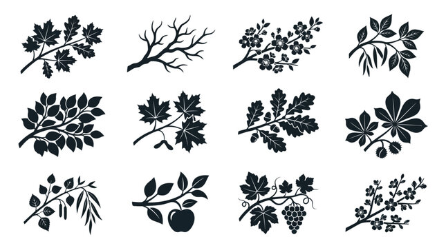 branches  autumn leaf branch silhouette  bare winter branch silhouette  spring blossom branch silhouette  summer leafy branch silhouette  maple branch silhouette  oak branch silhouette  birch branch 
