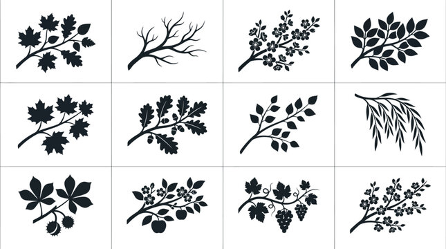 branches  autumn leaf branch silhouette  bare winter branch silhouette  spring blossom branch silhouette  summer leafy branch silhouette  maple branch silhouette  oak branch silhouette  birch branch 
