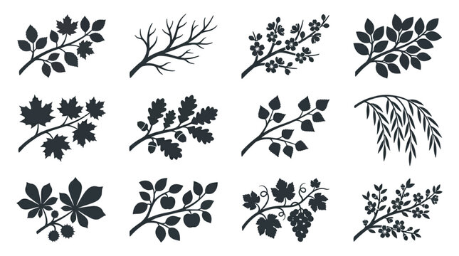 branches  autumn leaf branch silhouette  bare winter branch silhouette  spring blossom branch silhouette  summer leafy branch silhouette  maple branch silhouette  oak branch silhouette  birch branch 