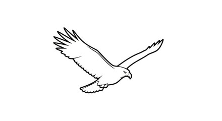Fototapeta premium Flying eagle line art illustration