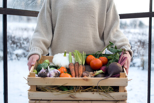 Fresh organic vegetables in a wooden crate held by a person