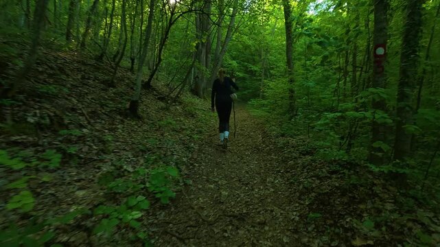 Lone figure walks through a dense forest. Ovcar Kablar Gorge. Balkans, Serbia