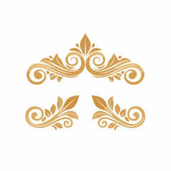 Fototapeta premium Golden Swirls and Leaves Decorative Elements