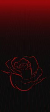 Abstract red rose background