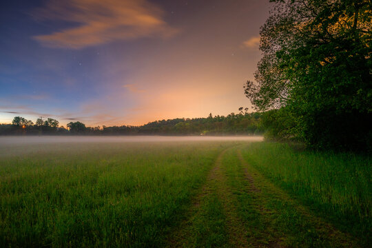 Soft evening mist settling over a grassy field next to a large tree, with a warm, glowing sky at dusk transitioning into night.