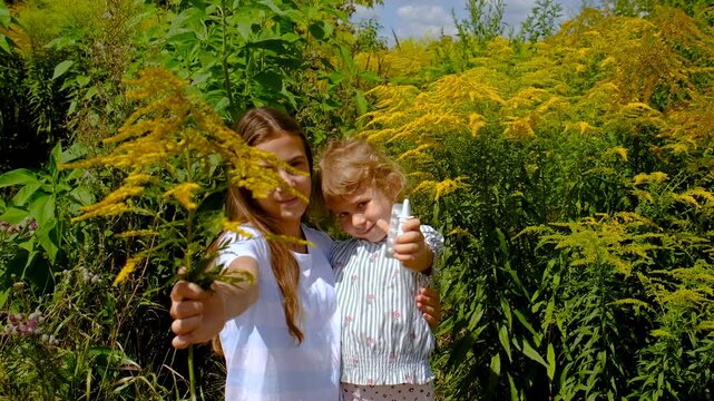 The child is allergic to ragweed. Selective focus.