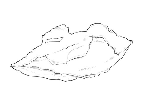 下鼻甲介　Inferior nasal concha