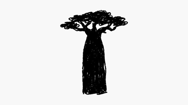 Silhouette of a Baobab Tree.
