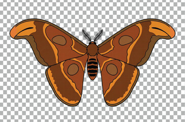 Atlas moth illustration isolated on transparent background © AR AKASH