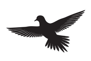 Fototapeta premium Flying Mourning Dove Silhouette Isolated Pigeon and Dove Graphic Element