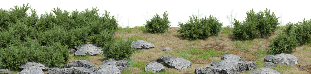 Obraz premium Green bushes and rocks on a grassy hill isolated on transparent background, realistic cutout landscape element for architectural 3d rendering and digital garden design, PNG File