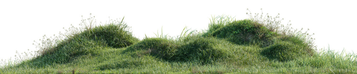 Green grass mounds isolated on a transparent background, realistic lawn hill turf PNG cutout element for architectural rendering and digital landscape designn, 3D rendering © EcoSpace