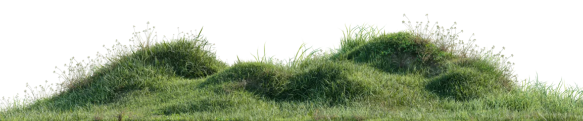Fotobehang Olijf Green grass mounds isolated on a transparent background, realistic lawn hill turf PNG cutout element for architectural rendering and digital landscape designn, 3D rendering  © EcoSpace