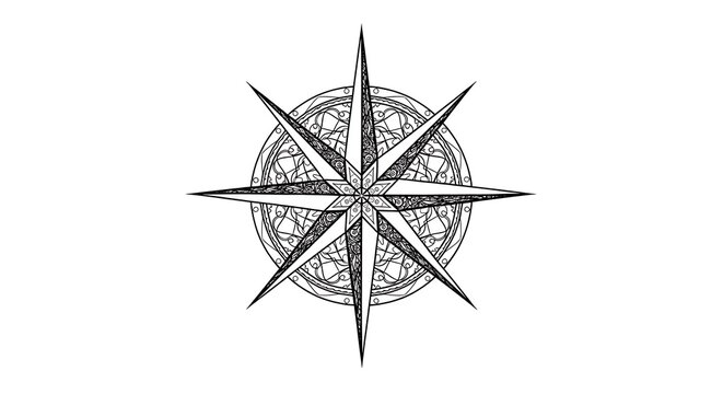 Black compass rose navigation symbol