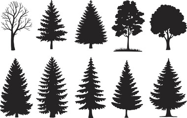 Obraz premium Collection of evergreen and deciduous tree silhouettes including pine and bare trees, black vector set for forest, nature, and landscape design