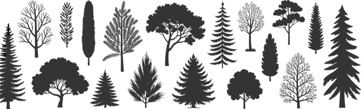 Diverse Evergreen Tree Silhouettes arranged vertically on a white background representing nature's variety