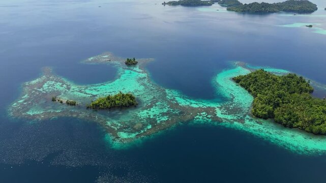 Cinematic aerial view of dramatic coral reef drop-off at Banggai Island &ndash; Breathtaking drone shot of deep blue ocean meeting shallow turquoise sea water, premium Indonesia landscape 4k