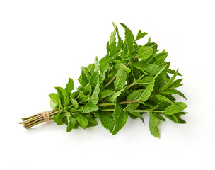 Fresh mint bundle isolated on white background, organic peppermint herb bunch with green leaves © goir