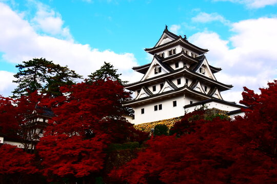 岐阜県 郡上市の郡上八幡城