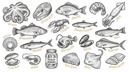 Set of seafood objects. Hand drawn illustrations converted to vector © bow