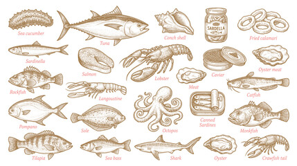 Hand drawn seafood and fish in line art style. Vector illustration © bow