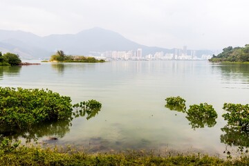 Obraz premium Quiet mangrove wetland and bay in the New Territories