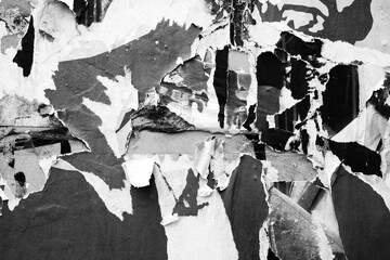 Fototapeta premium Old ripped torn black and white fly posters textures backgrounds grunge creased crumpled paper vintage collage placards empty space for text