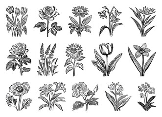 Obraz premium PNG Vintage floral silhouette collection, transparent background