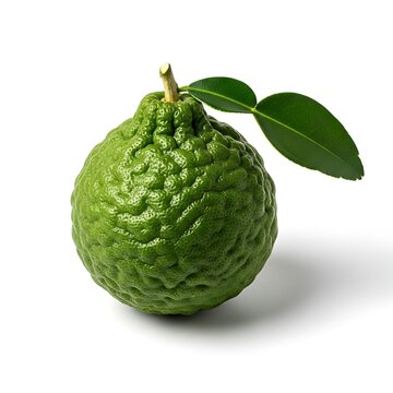 Fresh Green Kaffir Lime with Leaves on White Background