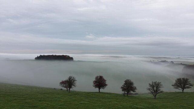 Calm Misty Morning in Dorset 
