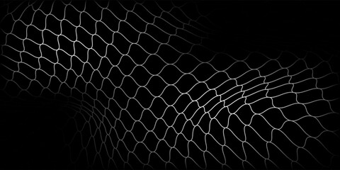 Fishing or soccer net. Repeated hexagon pattern. Black wired mesh texture isolated on white background.ilustrasion modern. © Haikal