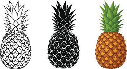 Obraz premium Three pineapple illustrations presented in outline silhouette and full color vector styles perfect for tropical designs or healthy food concepts