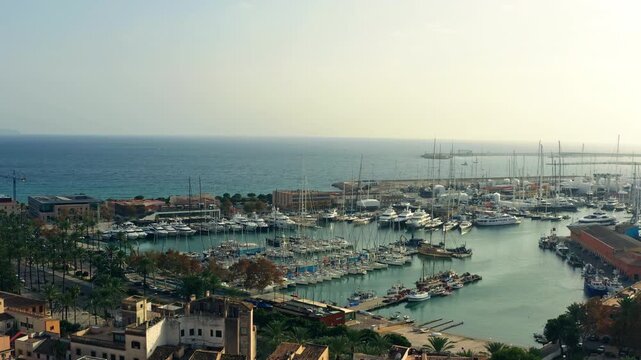Aerial marina in Palma on the island of Mallorca in Spain. Boats and dinghies moored on the shore of the Mediterranean Sea in the cityscape of a tourist city in Europe.