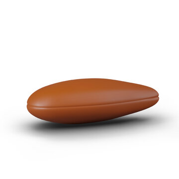 Raw pinole nut in horizontal position. Vector template in realistic style