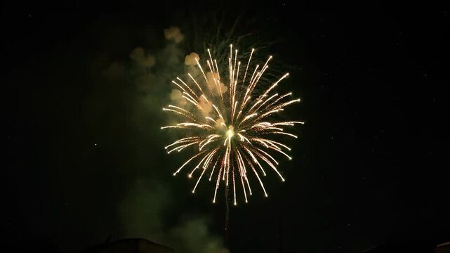 A single firework exploding in the night sky