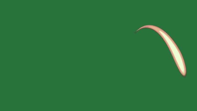 Bird flying red arrow on it border small over curved edge in the middle isolated on green screen background