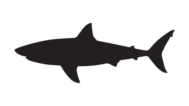 Black shark silhouette