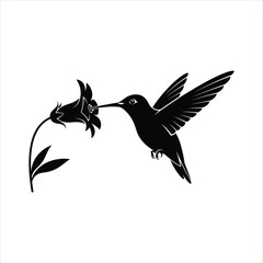 Hummingbird flying and drinking nectar from a flower, black and white silhouette vector illustration © PicNest